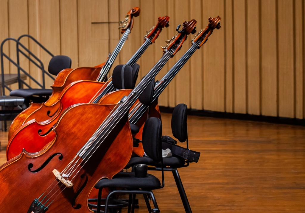 Row of string instruments on chairs in a wooden-paneled room.